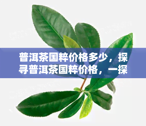 普洱茶国粹价格多少，探寻普洱茶国粹价格，一探究竟！