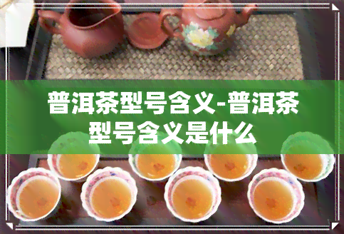 普洱茶型号含义-普洱茶型号含义是什么