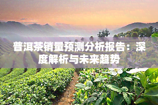 普洱茶销量预测分析报告：深度解析与未来趋势