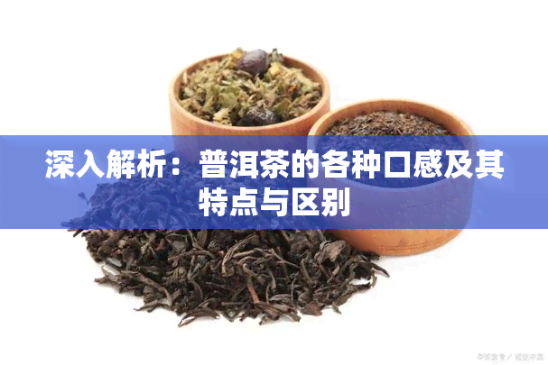 深入解析：普洱茶的各种口感及其特点与区别