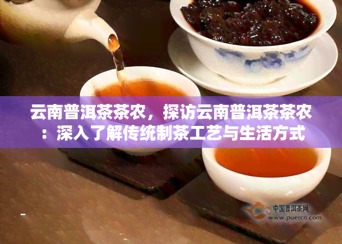 云南普洱茶茶农，探访云南普洱茶茶农：深入了解传统制茶工艺与生活方式