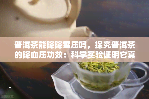 普洱茶能降降雪压吗，探究普洱茶的降血压功效：科学实验证明它真的有效吗？