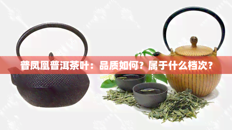 普凤凰普洱茶叶：品质如何？属于什么档次？