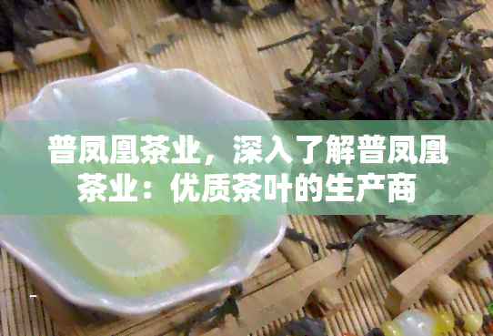 普凤凰茶业，深入了解普凤凰茶业：优质茶叶的生产商