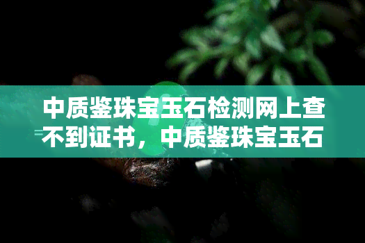 中质鉴珠宝玉石检测网上查不到证书，中质鉴珠宝玉石检测：网上无法查询证书