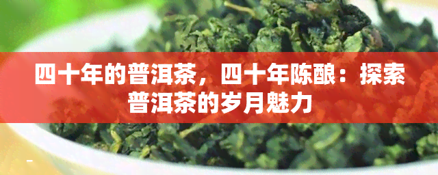 四十年的普洱茶，四十年陈酿：探索普洱茶的岁月魅力