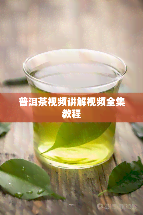 普洱茶视频讲解视频全集教程