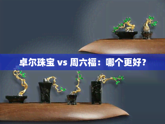 卓尔珠宝 vs 周六福：哪个更好？