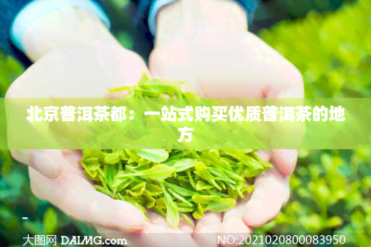 北京普洱茶都：一站式购买优质普洱茶的地方