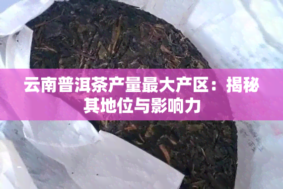 云南普洱茶产量更大产区：揭秘其地位与影响力