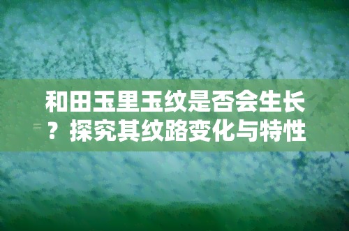 和田玉里玉纹是否会生长？探究其纹路变化与特性