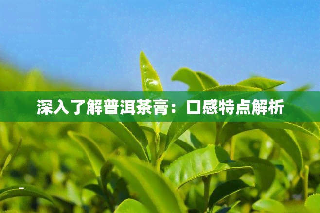 深入了解普洱茶膏：口感特点解析