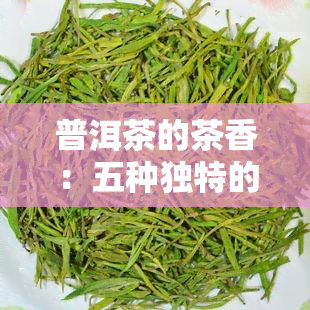 普洱茶的茶香：五种独特的香气类型解析