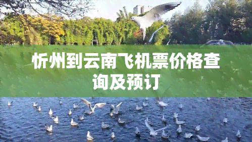 旅游团云南7日游包机票(云南旅游团七日游全包报价)