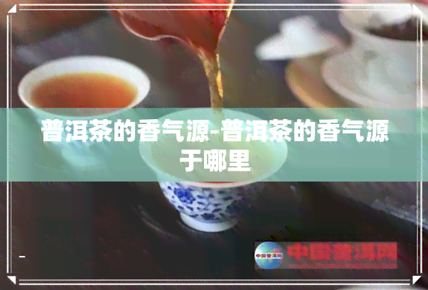 普洱茶的香气源-普洱茶的香气源于哪里