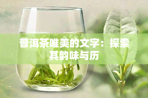 普洱茶唯美的文字：探索其韵味与历