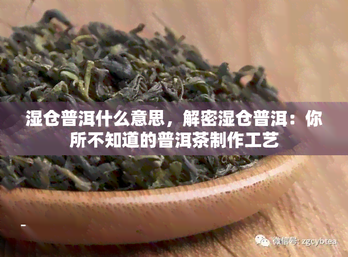 湿仓普洱什么意思，解密湿仓普洱：你所不知道的普洱茶制作工艺