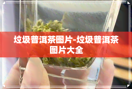 垃圾普洱茶图片-垃圾普洱茶图片大全