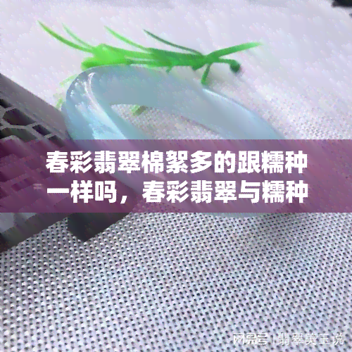 春彩翡翠棉絮多的跟糯种一样吗，春彩翡翠与糯种的区别：棉絮多是否等同于糯种？