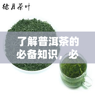 了解普洱茶的必备知识，必备知识：探索普洱茶的世界