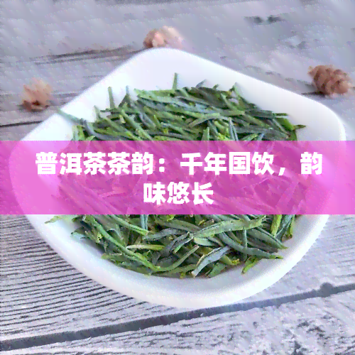 普洱茶茶韵：千年国饮，韵味悠长