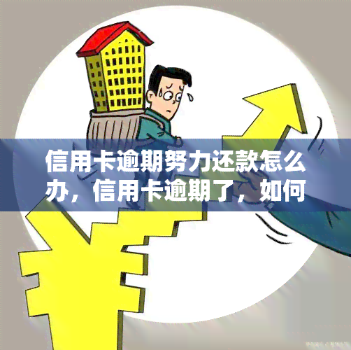 信用卡逾期努力还款怎么办，信用卡逾期了，如何努力还款？