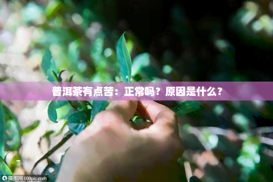 普洱茶有点苦：正常吗？原因是什么？