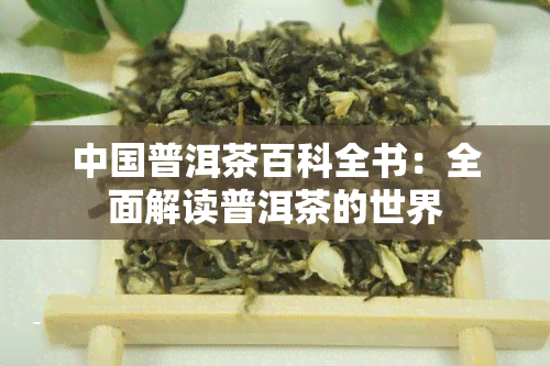 中国普洱茶百科全书：全面解读普洱茶的世界