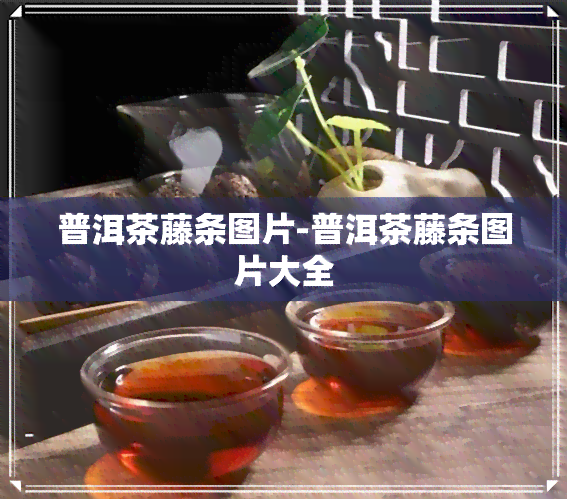 普洱茶藤条图片-普洱茶藤条图片大全