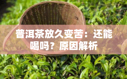 普洱茶放久变苦：还能喝吗？原因解析