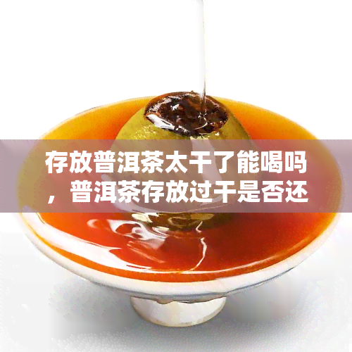 存放普洱茶太干了能喝吗，普洱茶存放过干是否还能饮用？