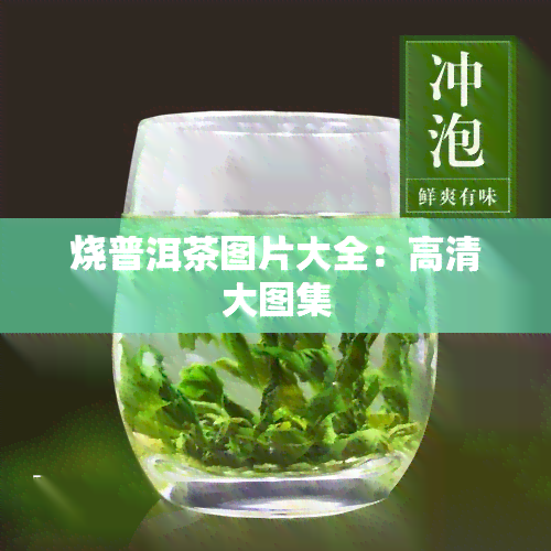 烧普洱茶图片大全：高清大图集