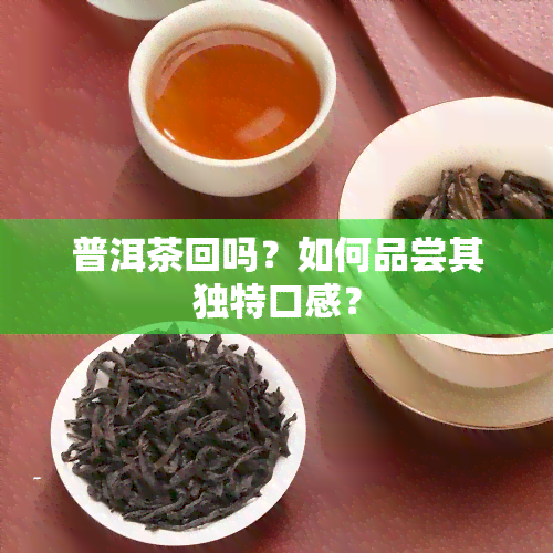 普洱茶回吗？如何品尝其独特口感？