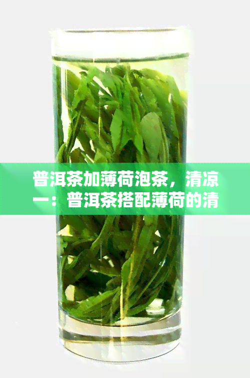 普洱茶加薄荷泡茶，清凉一：普洱茶搭配薄荷的清新口感