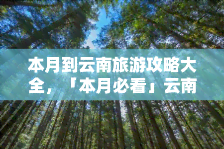 本月到云南旅游攻略大全，「本月必看」云南旅游攻略大全，玩转美丽春城！