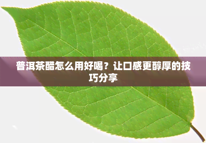 普洱茶醋怎么用好喝？让口感更醇厚的技巧分享