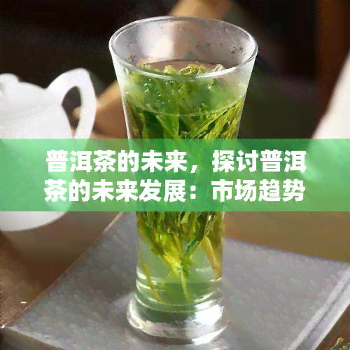 普洱茶的未来，探讨普洱茶的未来发展：市场趋势、技术创新与消费者需求