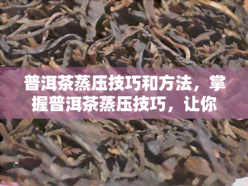 普洱茶蒸压技巧和方法，掌握普洱茶蒸压技巧，让你轻松制作出美味的茶饼！