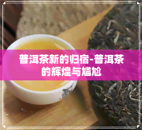 普洱茶新的归宿-普洱茶的辉煌与尴尬