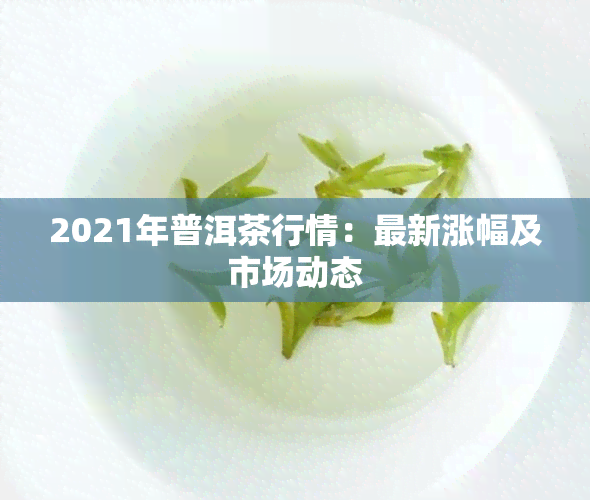 2021年普洱茶行情：最新涨幅及市场动态