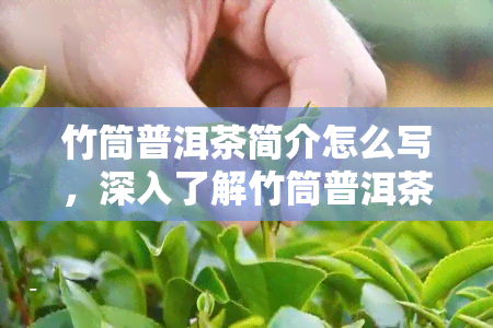 竹筒普洱茶简介怎么写，深入了解竹筒普洱茶：特点、制作方法与品鉴指南