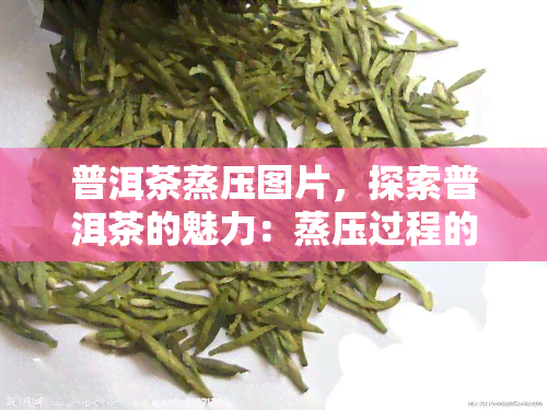 普洱茶蒸压图片，探索普洱茶的魅力：蒸压过程的视觉宴