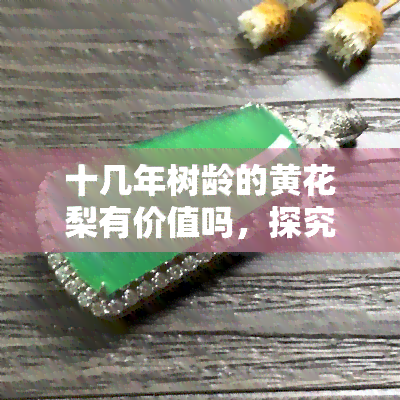 十几年树龄的黄花梨有价值吗，探究十几年树龄的黄花梨的价值