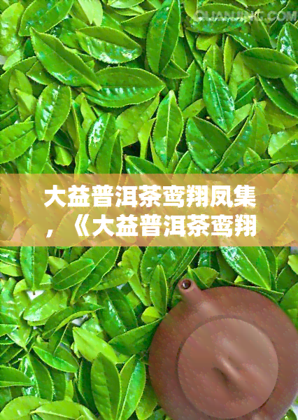 大益普洱茶鸾翔凤集，《大益普洱茶鸾翔凤集》：一场味蕾的宴