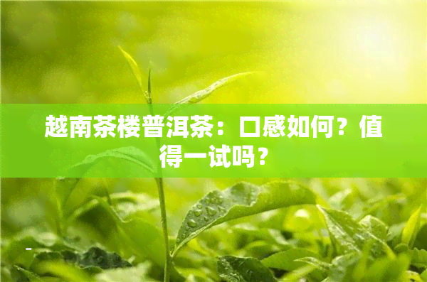 越南茶楼普洱茶：口感如何？值得一试吗？