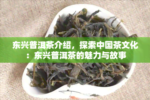 东兴普洱茶介绍，探索中国茶文化：东兴普洱茶的魅力与故事