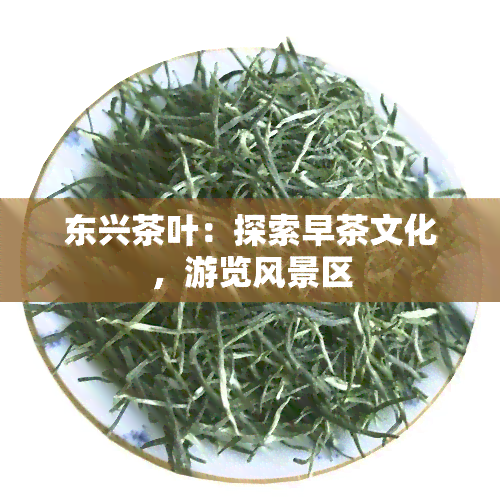 东兴茶叶：探索早茶文化，游览风景区