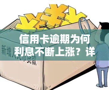 信用卡逾期为何利息不断上涨？详解原因与解决办法