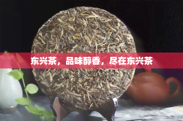 东兴茶，品味醇香，尽在东兴茶