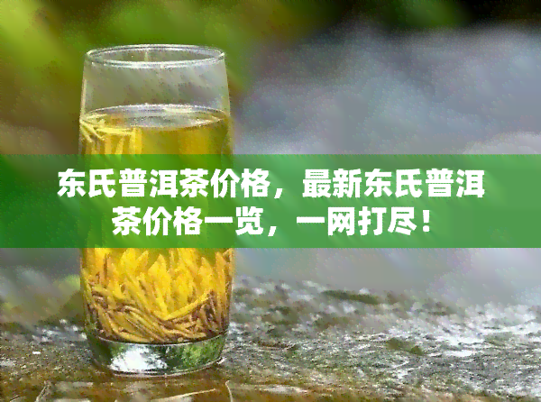 东氏普洱茶价格，最新东氏普洱茶价格一览，一网打尽！